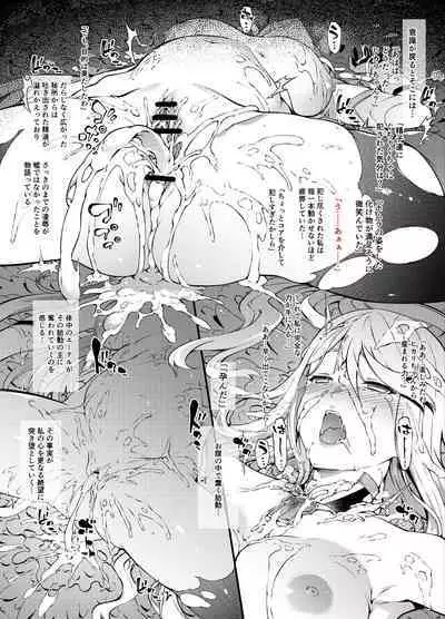 Xenoblade 2 Hikari Conception