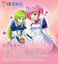 (C88) [Hitoride Dekirumon (Munyuu)] NanoFei nano! (Mahou Shoujo Lyrical Nanoha) [Chinese] [CE家族社]