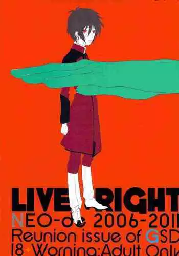 [NEO-de (Natsuzaka)] Tadashii Hito (Gundam Seed Destiny) [Chinese]