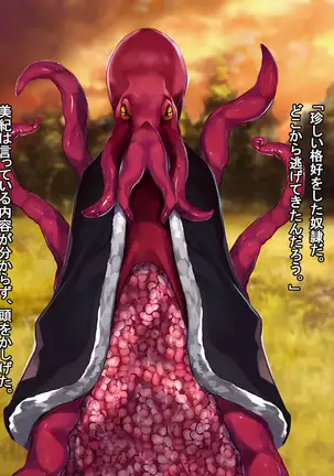 Hokaku sareta Shoujo ~ She becomes a sex slave due to reincarnation in another world ~