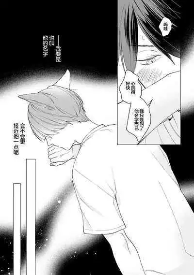 恋爱中的猫咪想被抚摸