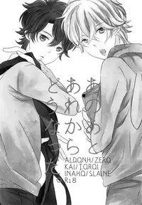 (Zero no Hakobune 03) [ROCCA (Yoichi)] Ano ato are kara dō natta. (ALDNOAH.ZERO)