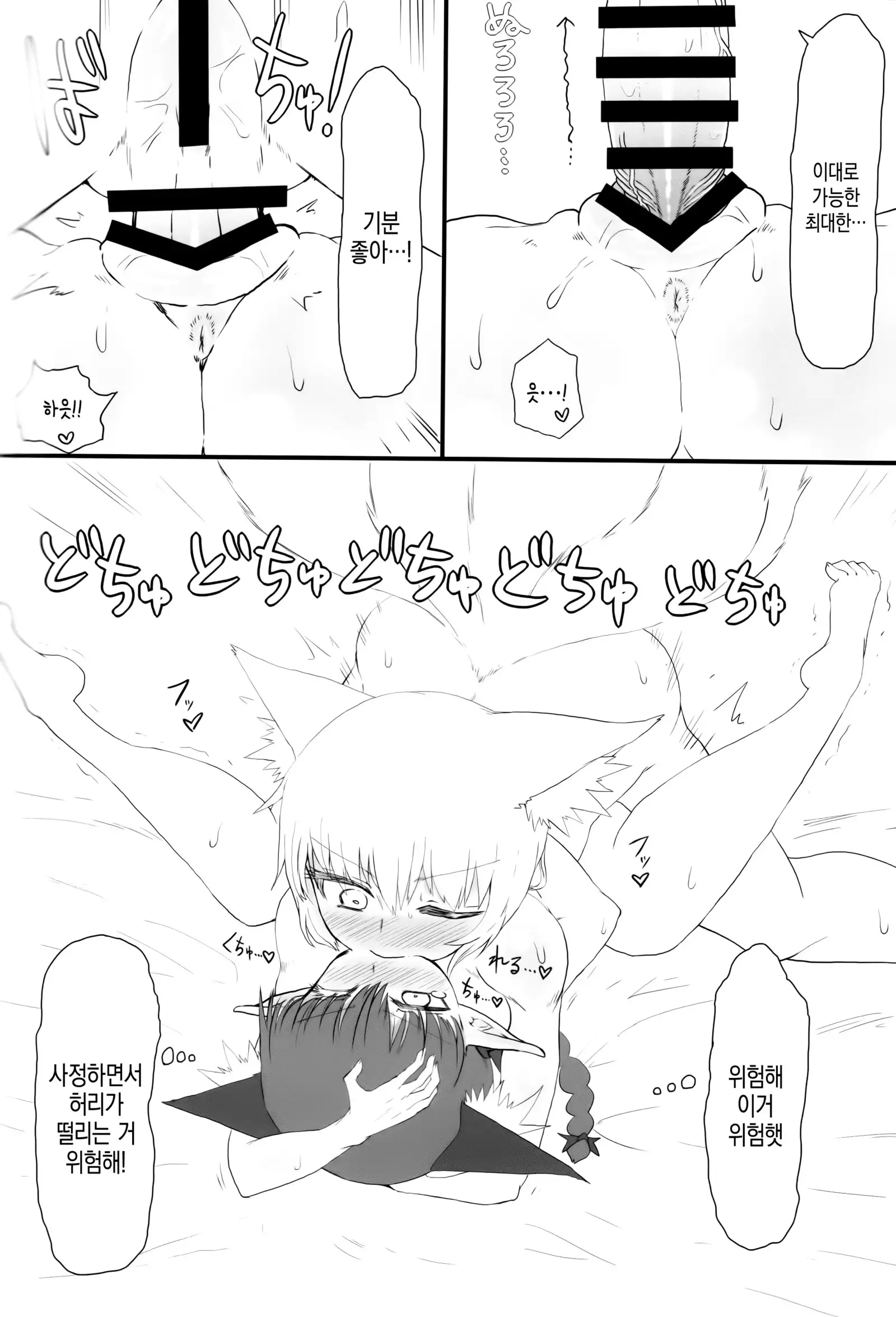 KitsuNeko. | 여우냥이.