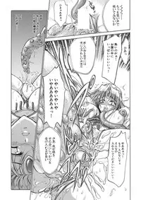 聖王妃 エルレイン（田宮秋人） Princess St