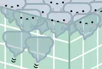 What the PooP [On Going]