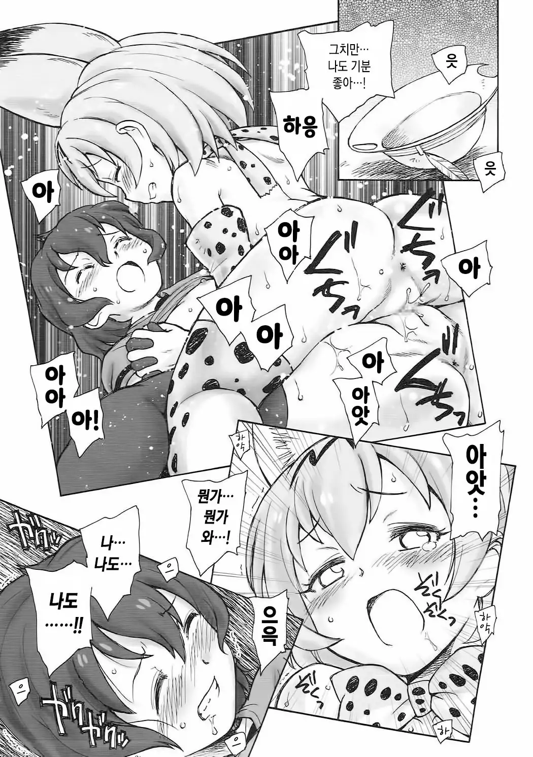 Tabekko Friends | 타벳코 프렌즈