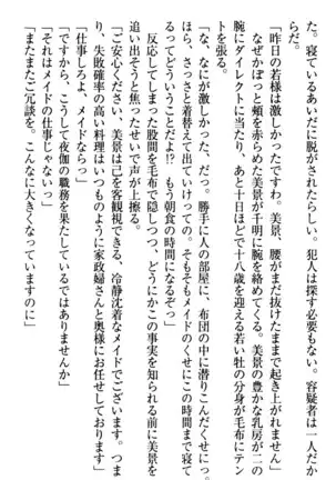 年上メイドの新婚日記
