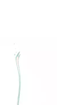 Hooker Ch.1-33 (English) (Ongoing)