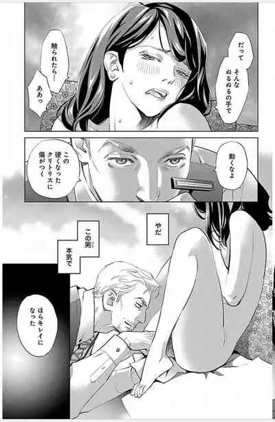 Subete Ai no Shiwaza/愛調教成性俘虜/爱调教成性俘虏/すべて愛のしわざ——もんでんあきこ vol 1-3End (Japanese)