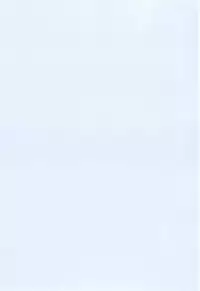 [Shindou] Ojou-sama to Maid no Midara na Seikatsu Ch. 1-3, 7-11 [Chinese] [无毒汉化组]