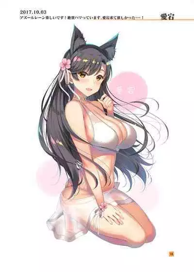 [アカペンギン (アサヒナヒカゲ)] HIKAGE ILLUSTLATIONS2 () [DL版]