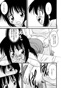 [Ie-i Tomii] Meconopsis