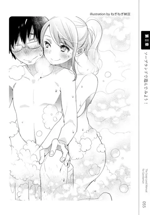 Illustrated Manual of Sex Industry for Beginners With Detailed Explanations of Soaplands