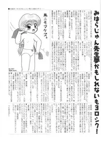 Hin-nyu v13 - Hin-nyu Gentei