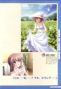 Canvas2 ～茜色のパレット～ ビジュアルファンブック