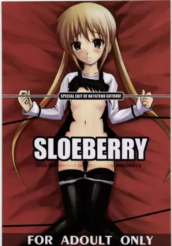 (COMIC1☆2) [R-WORKS (ROS)] SLOEBERRY (Hayate no Gotoku!)