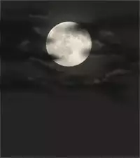 [Taikyokuturugi] Sendai to Keine ga ichaicha suru hanashi - Chapter 1-5 [complete] (Touhou Project)