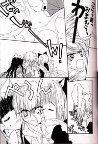 (NINE GATE) ミラクルシーフードケーキ (Cardcaptor Sakura)