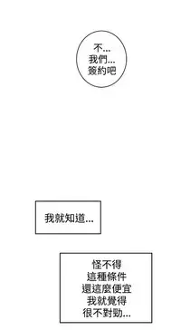 缝隙 Chinese Rsiky