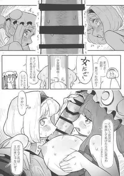 Touhou Ochinpo Haechatta Goudoushi