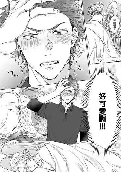 Fukurou no Koiwazurai | 猫头鹰的相思病