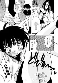 [Ie-i Tomii] Meconopsis