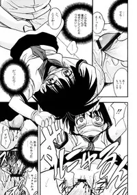 [Ie-i Tomii] Meconopsis