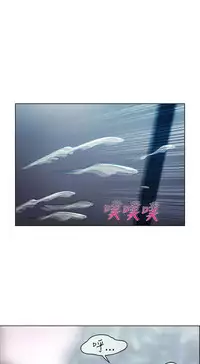 [Studio Gale] Lady Garden 淑女花苑 第一季 [Chinese]