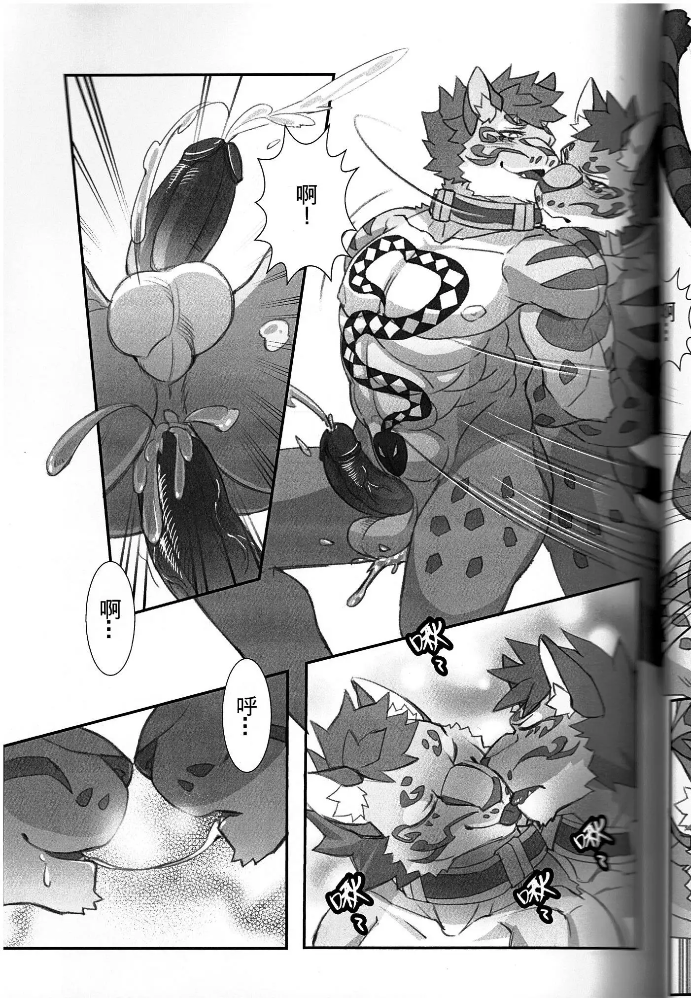 漫畫《家有大貓-Before the Story》