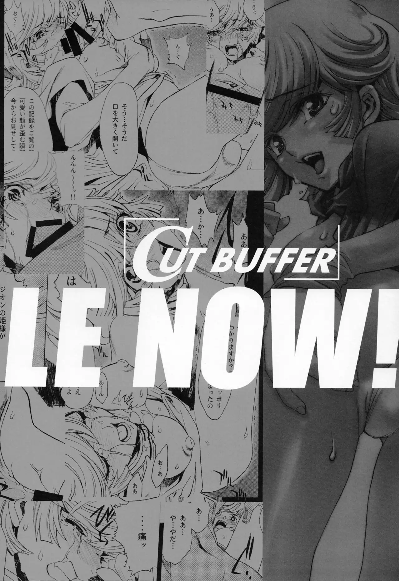 A SCHOOL OF KILLIFISH