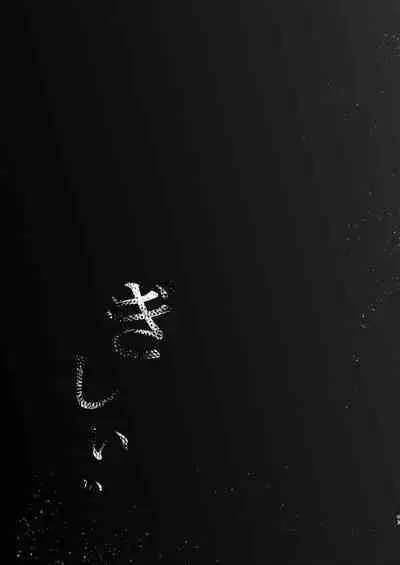 Shiragasane Soushuuhen