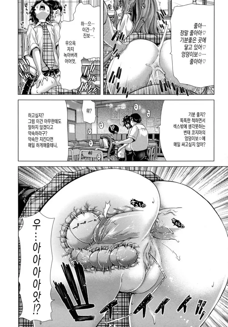 白昼夢肉に堕つ