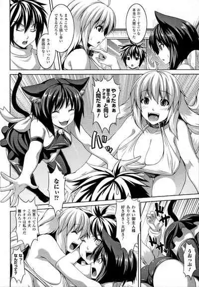 [Somejima] Bitch Harem [Incomplete]