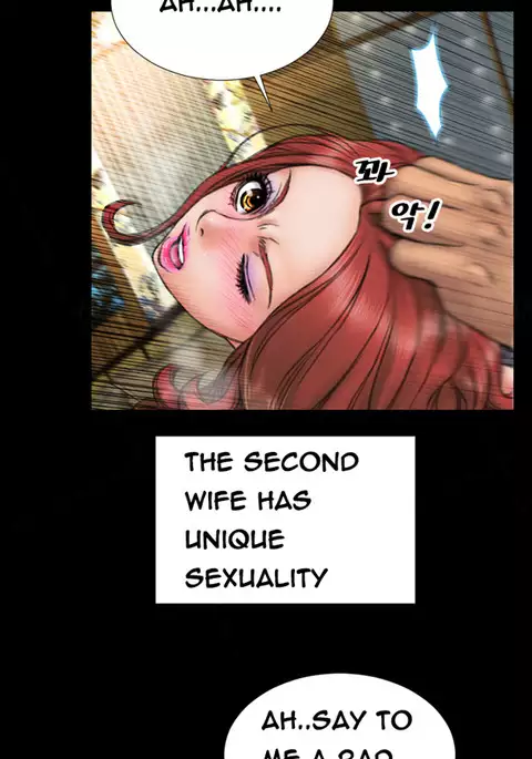 My Wives Ch.1-28