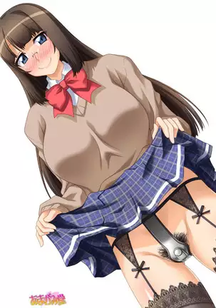 カギ付きの彼女 第 1~5 話