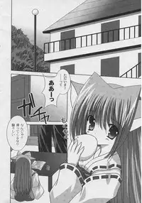 [ShikigamiAzuma]God Chome cat