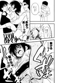 [Ie-i Tomii] Meconopsis