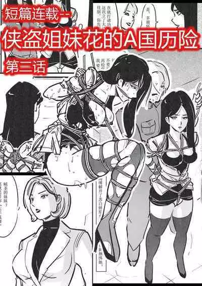 侠盗姐妹花的A国历险2