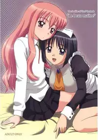 (C78) [G-Scan Corp. (Satou Chagashi)] Le beau maitre Omnibus (Zero no Tsukaima)