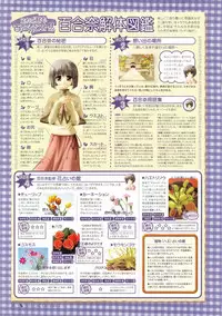 Canvas Visual Fan Book