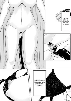 Whiser of Guidance 1-18