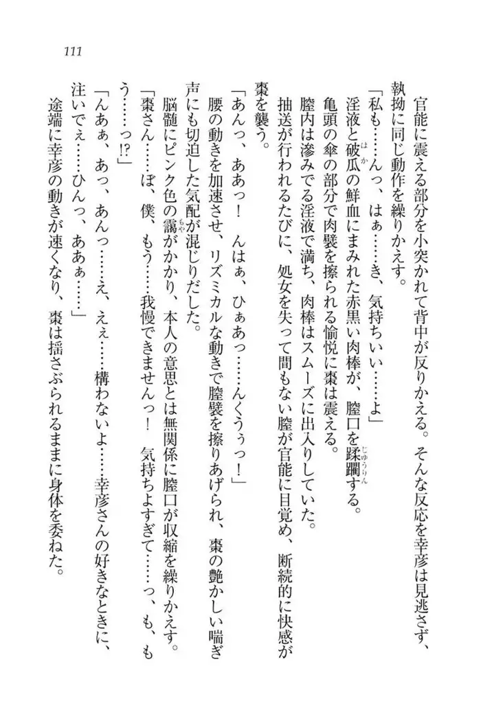 お嬢様☆お世継ぎ生産計画