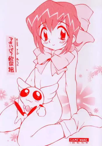 (SC1) [GAME DOME (Kamirenjaku Sanpei)] Akihabara Innyou Gumi (Akihabara Dennou Gumi) [2nd Edition CR24]