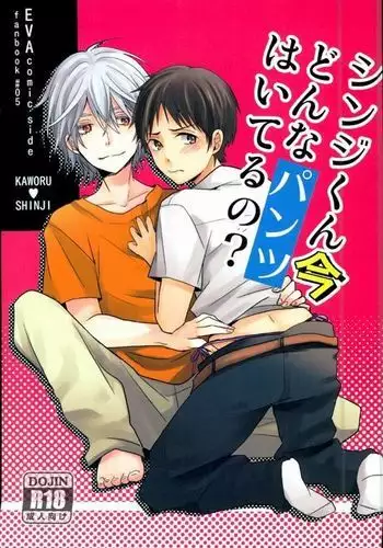 Shinji-kun Ima Donna Pants Haiteru no?