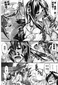 [Fue] フェラピュア[chinese]