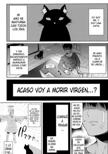 Ningen ni Natta Neko | La Gata Que Se Volvió Humana