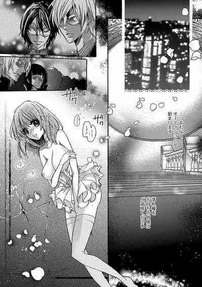 鬼畜兄弟の悶絶調教～私はいいなり奴隷～