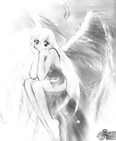 The Flower in Paris | 櫻華大綻之巴黎慾火