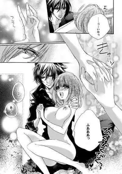 鬼畜兄弟の悶絶調教～私はいいなり奴隷～