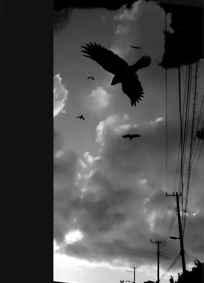 姉を売った2 娼年Mがみた大人の性暴力